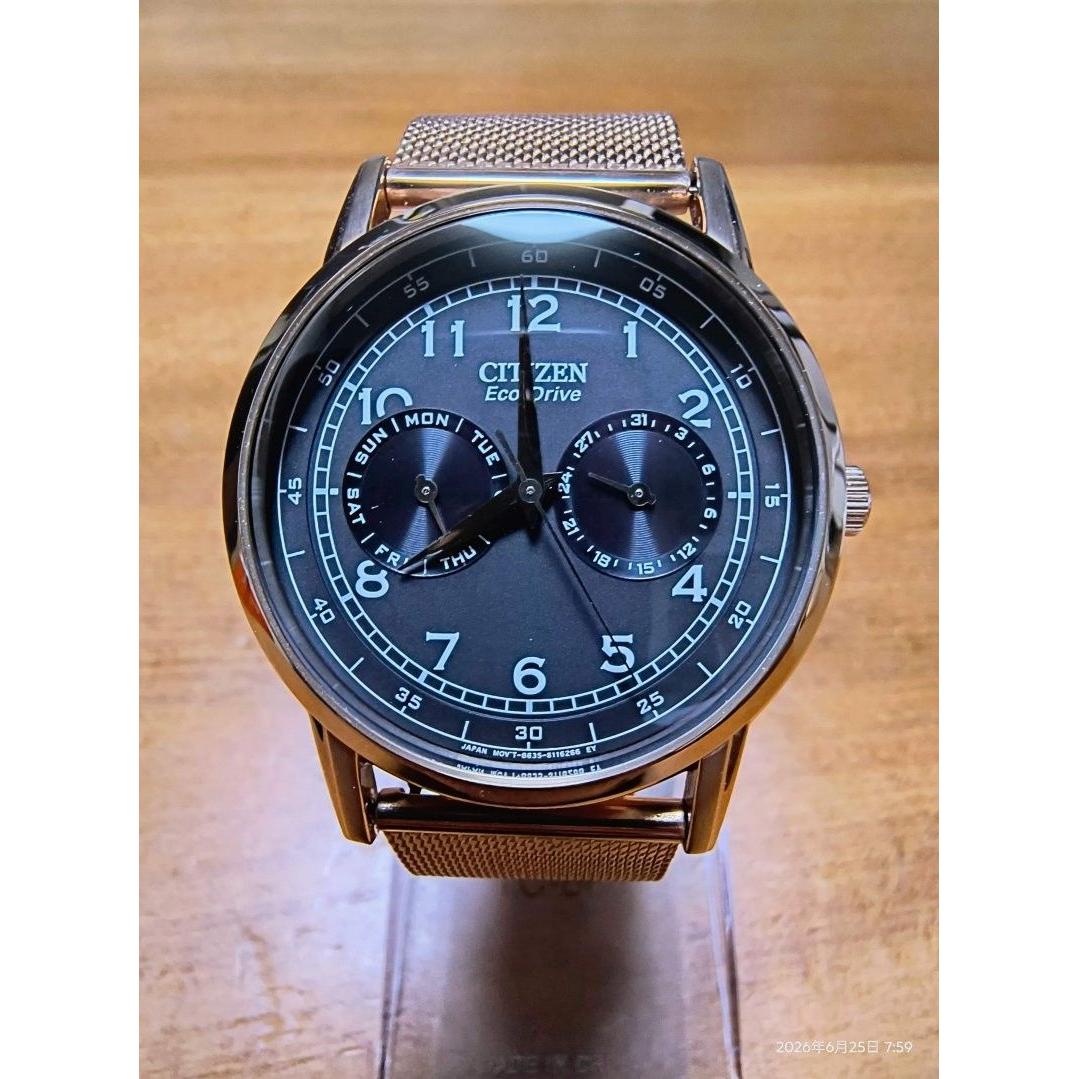 Used [Extremely Good Condition] Citizen Eco-Drive Gold Mesh Watch