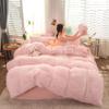 Soft Coral Fleece Warm Cozy Princess Bedding Set Mink Velvet Duvet Cover Set Quilt Cover Bed Comforter Set Blanket
