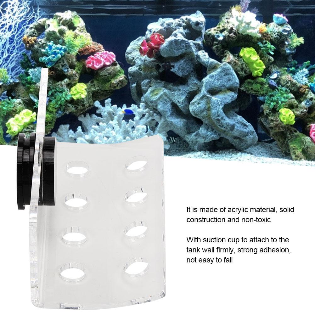 Aquarium Marine Coral Racks Bracket Holder Fish Button Frame Enhanced Suction Cup