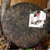 Lao Tong Zhi 7978 Haiwan Old Comrade Puer Tea Cake 2007 357g Ripe Pu-erh Shu Tea