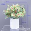 Artificial Pothos Plant Decor Living Room Office Indoor Home Decoration Fake Greenery