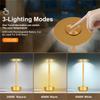 Aluminum Alloy LED Lamp Night Light Infinitely Dimmable Atmosphere Retro Portable Cordless Rechargeable Touch Desk Lamp For Bar