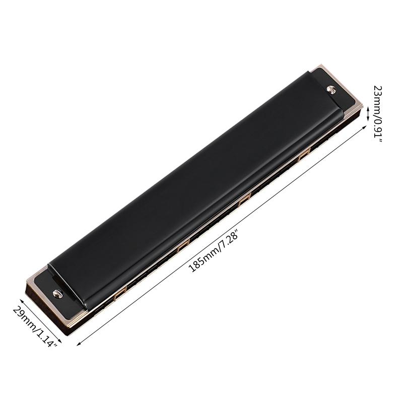 24-Hole Professional Harmonica for Beginner, Diatonic Double Tremolo Harmonica Fit for Adults Music Student Teacher Gift