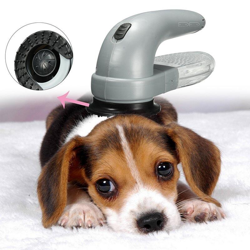 beagle shedding brush