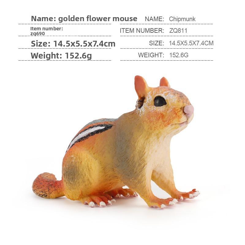 Little Squirrel Pvc Animal Figure Collection For Childrens Educational Toys And Wildlife Recognition
