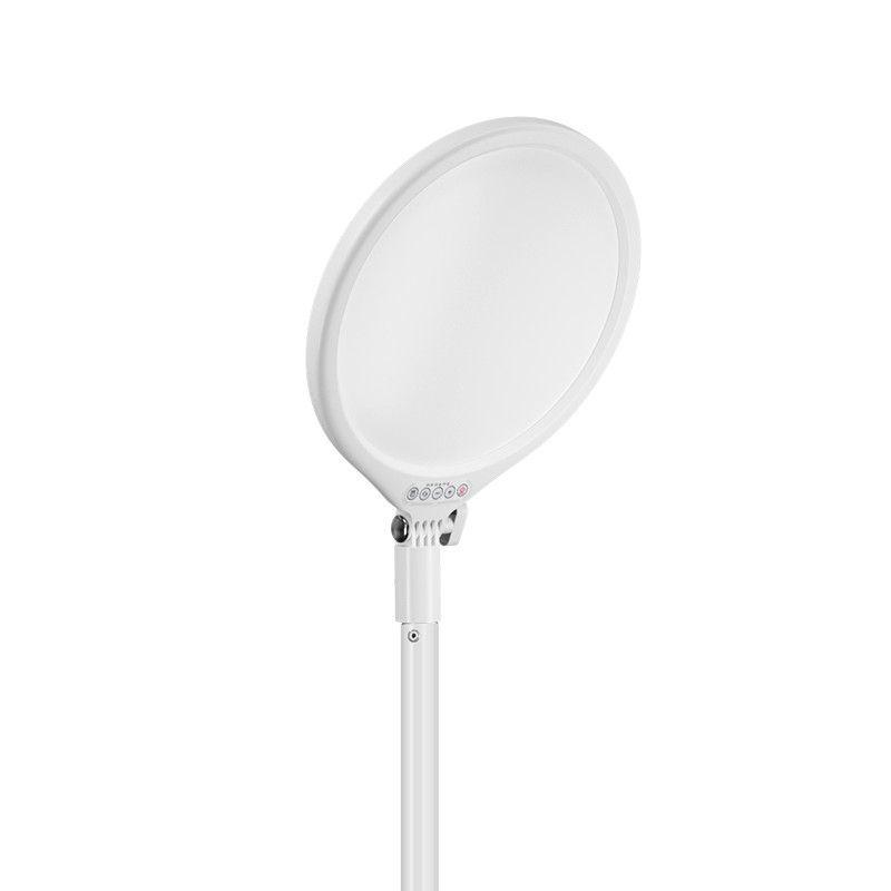LED Shadowless Desktop Beauty Light: Full Screen Round Flat Panel for Indoor Photography