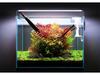 Ultra-Thin Aquarium LED Light with Blue-White Tricolor for Aquatic Plants and Fish Tanks
