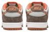 Nike X Crushed D.C. Sb Dunk Low 'Golden Hour' DH7782-001