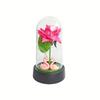 Small rose night light ornament creative Christmas and Valentine's Day gift immortal simulated flower gift