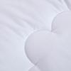 FUANNA Super Soft Cashmere Protein Antibacterial Quilt