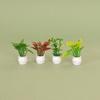 1Pc Casa de Bonecas Mini Modelo de Planta Mini Planta Verde Vaso de Flores Paisagem Ao Ar Livre Canteiro de Flores