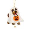 Kit Animale con Perline Set di Perline Fai da Te per Bambini Attività Festa di Halloween