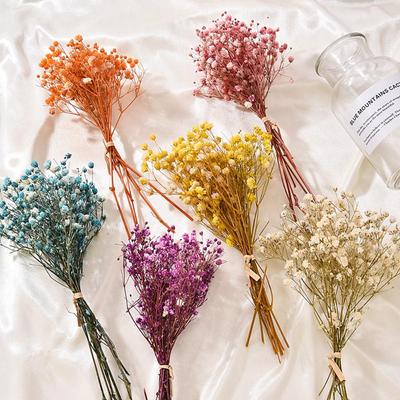 DIY Natural Decorative Mini Photo Backdrop Dried Flowers Dry Flower Babysbreath Bouquet Gypsophila