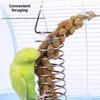 Stainless Steel Parrot Forager Feeder Seed Holder Durable Construction Vegetable Fruit Feeder Hanging Basket Food Container