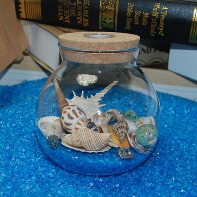 120g Natürliche Turbo-Muschel See-Konge Einsiedlerkrebs Haus Aquarium Praktische Muscheln Bastelarbeiten Dekorationen Strand Langlebige Foto-Requisiten