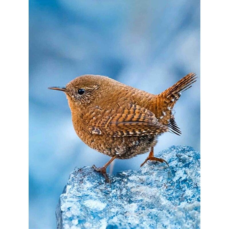 Noua pictură cu diamant 5D bricolaj, broderie cu diamante, animale, cu punct de cruce, meșteșuguri, decorațiuni pentru acasă, cadou manual