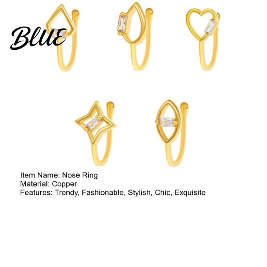 High-end Nose Jewelry 5 Pcs Ring Hoops for Women Geometry