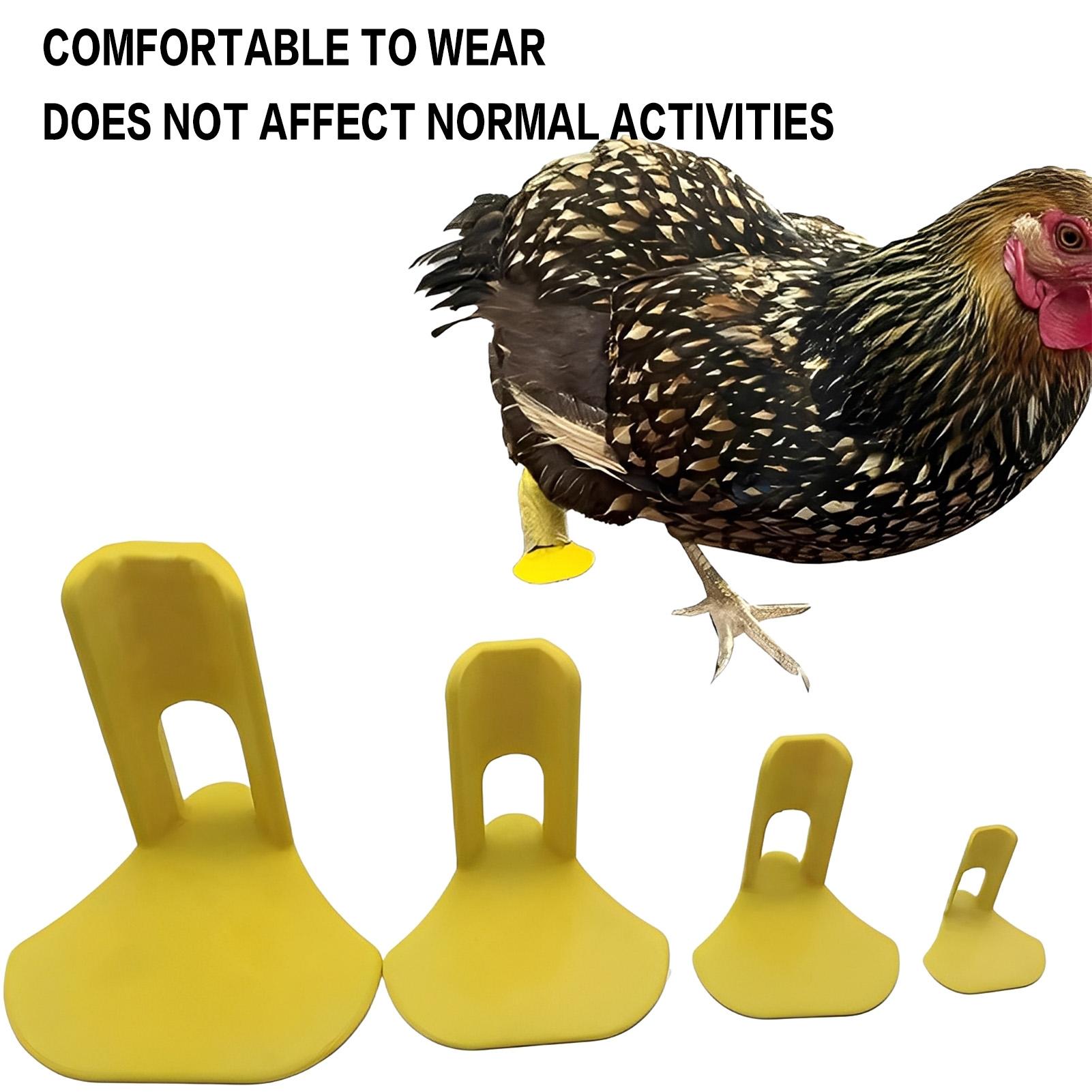 4Pcs Chicken Splint Braces Poultry Leg Support And Walking Assistance Plastic Lightweight For Chickens Ducks Rehabilitation Care