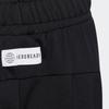 Adidas Kids Shorts Moderate HE2546