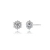 Stylus Flowerlet 2(Q20) Earrings_252000094
