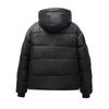 Black Gold Cotton-padded Clothes Men's Autumn and Winter Men's Casual Couple Jacket Short Cotton Clothes Youth Thickened and Warm