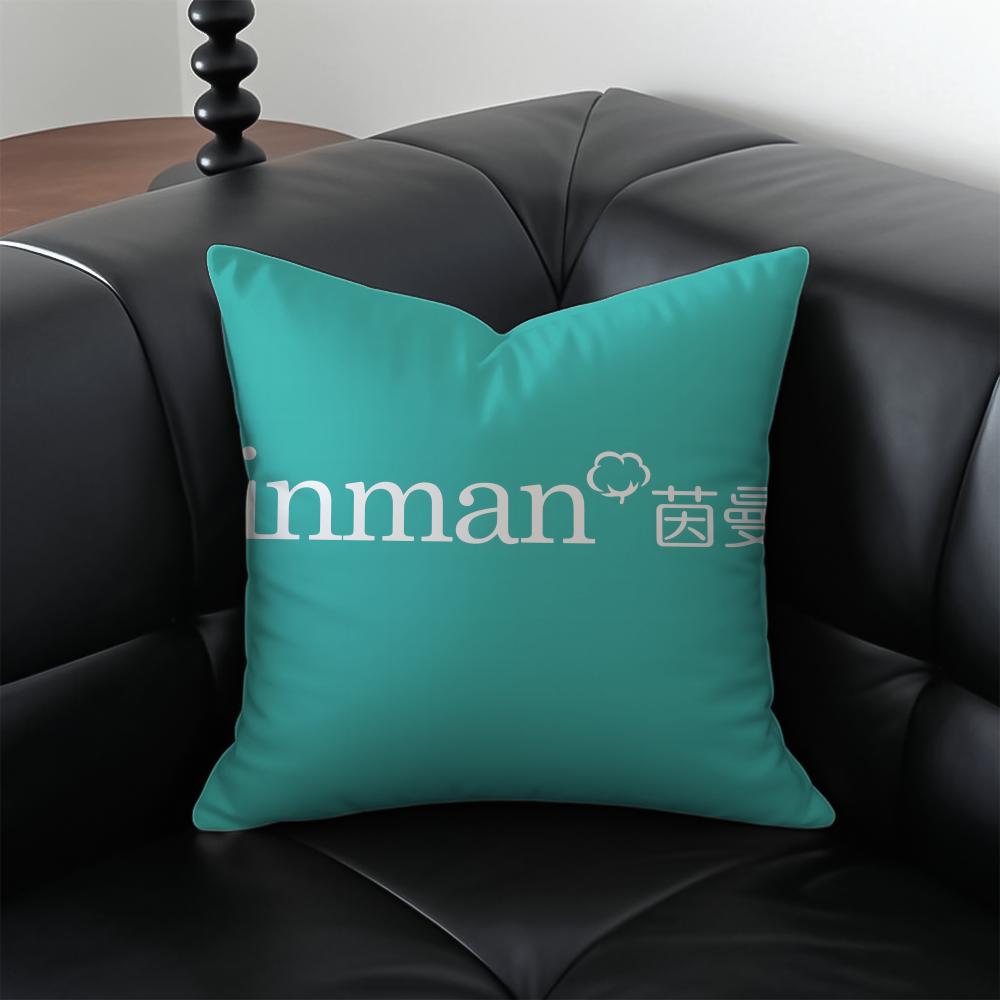 

Minimalist IINMANS Casual Fashion Cushion Cover Pillow Case Antidustmite Invisible zipper silky plush cushion 30X30cm
