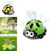 Fun Outdoor Water Play With Cute Turtle And Ladybug Sprinkler Toys For Children