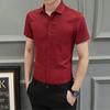 Solid Color Slim Fit Long Sleeve Formal Shirt - Versatile & Simple for Business or Casual Wear