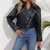 2025 Cross-border European and American New Women's Leather Jacket Short Spice Girl Street Retro Locomotive Lapel PU Leather Jacket