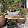 Blumentopf Pflanzgefäß Eimer Metallkübel Blumentöpfe Hochbeete Bauernhaus Pflanzkübel Gartenpflanzer