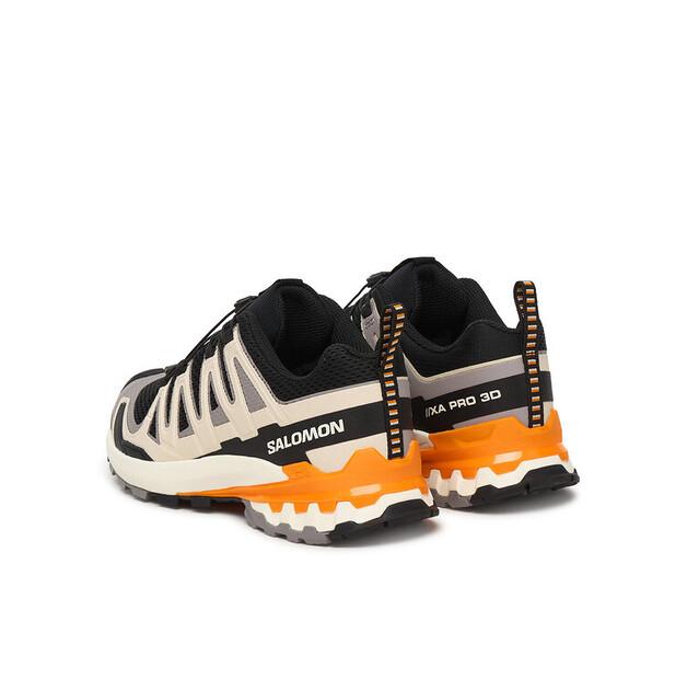 Треккинговые ботинки Salomon Xa Pro 3D V9