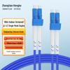 ZT-2KZ Armored Indoor Telecom Single Mode Duplex Fiber Optic Patch Cord