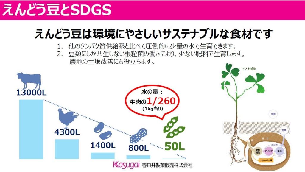 Kasugai Seika S Green Beans 90g X 12 Bags