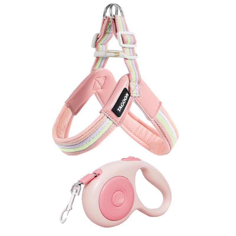 Breathable Color Block Harness & Leash for Small/Medium Dogs - Teddy, Shiba Inu