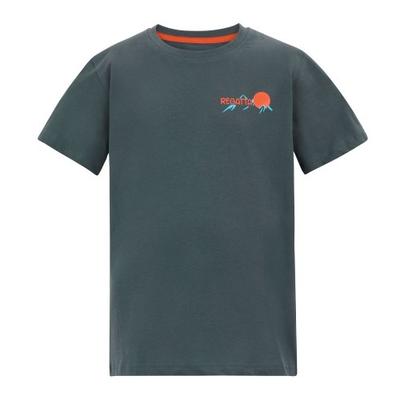 Tops (For Boys Over 4) – T-shirts
