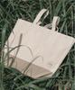 Momel Forest Canvas Bag (Forest Beige)