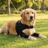 Adjustable Dog Shoulder Brace Self-Heating Dog Joint Protection Sleeve  Walking