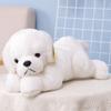 Cute Large-sized Pet Dog Pillow, Lunch Break E-commerce Doll, Golden Retriever Plush Toy Dog Doll