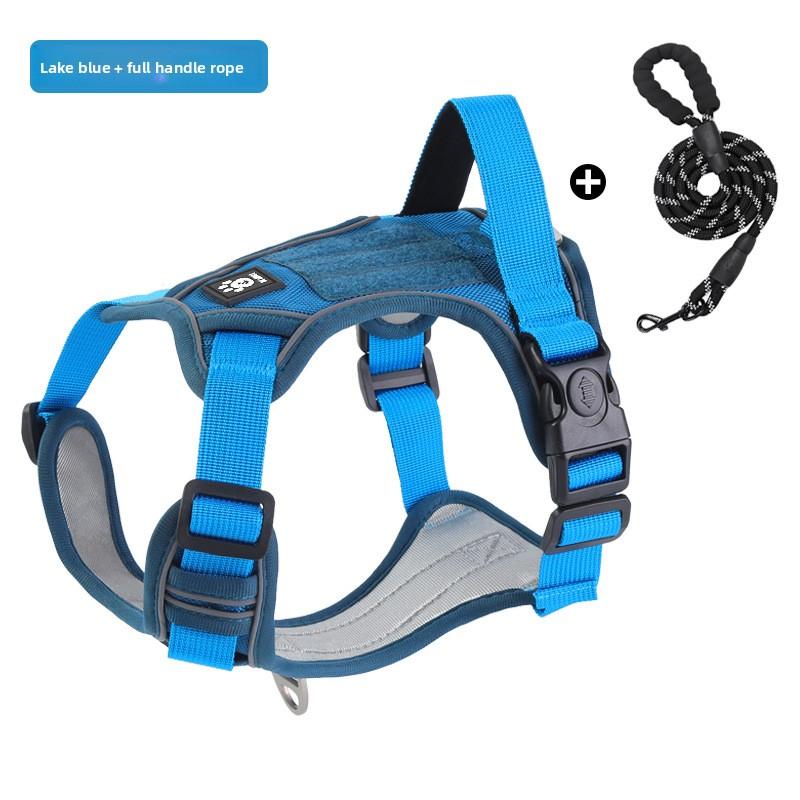 The Dog Leash Is A Medium To Large-sized Golden Retriever with A Vest, A Chest Strap, A Neck Loop and A Chain. The Dog Leash Is Adjustable