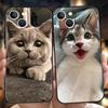 Luxury TPU Soft Phone Case For iPhone 17 Air 16E 16 11 15 14 Pro MAX 12 13 7 8 Plus X XR XS SE 2022 Cover Kawaii Love Cat