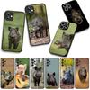 Phone Cover Animal Wild Boar Pig Casing for Apple iPhone 16 15 14 Plus 13 12 Mini 17 Pro Max + ProMax 16E Air 15+ Case