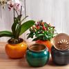 Mini Succulent Planter Tabletop Vase Self-watering Hydroponic Plants Pot Self Watering Flowerpot Indoor Home Office Bonsai Decor