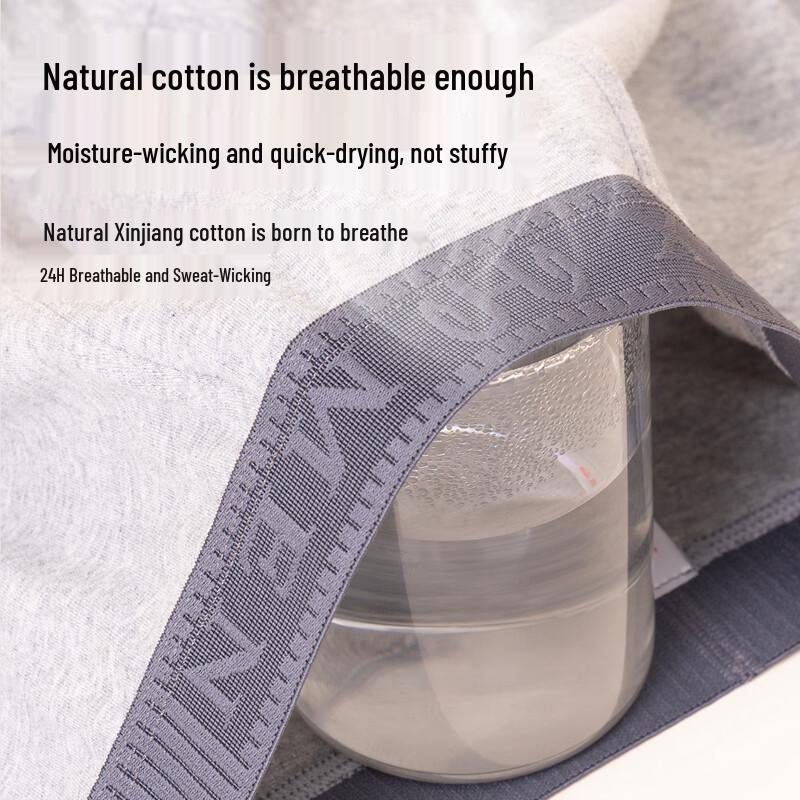Hengyuanxiang Men's Cotton Antibacterial Boxer Briefs