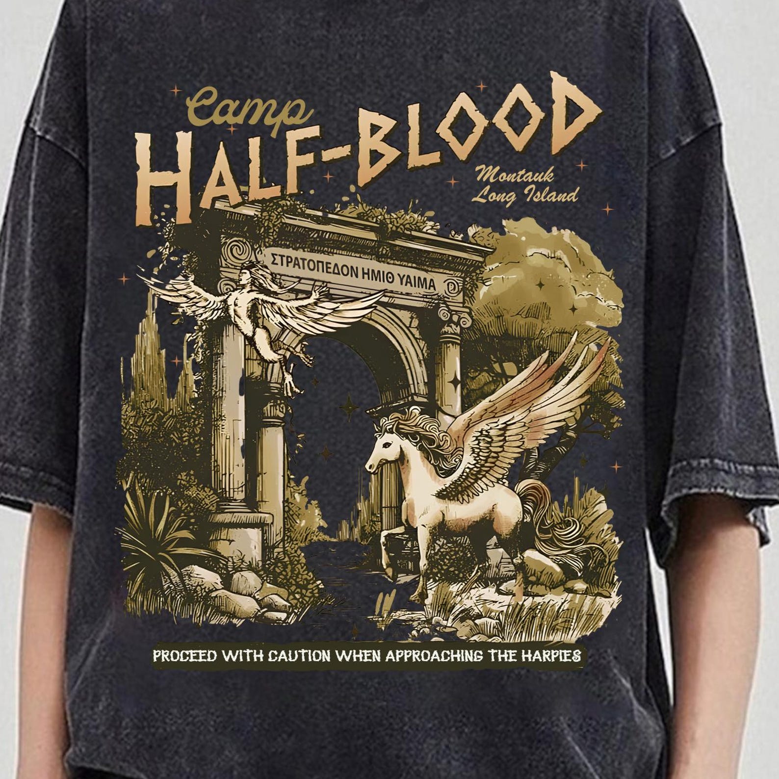 Camp Half Blood Pegasus, Comfort Colors Shirt, Half Blood Chronicles Apparel, Greek Demigods Tee, Reckless Book, Lauren Roberts S