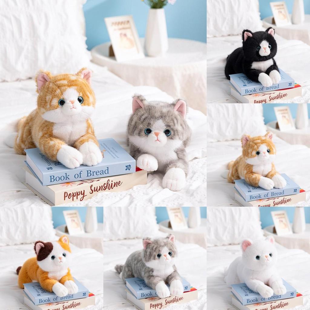 Cat Plush Animal Toy Cute Cartoon Children Bedroom Sleep Accompany Gift Doll