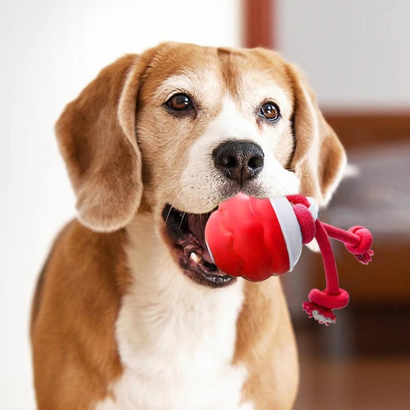 Elektrischer rollender Hundeball 3 Modi Hundespielzeug Automatische Bälle Welpen Kauspielzeug Ruhiges Trainingszubehör Für Park Wiese