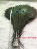 50pcs/lot Peacock Natural Feather Length 40-45cm 16-18 25-30cm Wedding Whole Crafts Decorations For Home El Decoratio