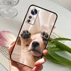 Coque Pour Xiaomi 12 12S Pro 5G Antichoc TPU Silicone Souple Housse de Téléphone Pour Xiaomi Mi 12 12X Protection Complète de l'Objectif Fundas Coques