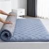 Soybean Siber Mattress Soft Pad Household Mattress Soft Thick Pad Quilt Thin Model Anti-Slip Bed Cushion Comfortable New Sales