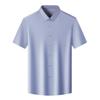 2025 Herren Sommer Eis Seide Kurzarmhemd - Atmungsaktiv, Knitterarm, Nahtlos, Einfarbig, Vielseitig Business Casual